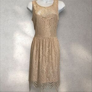 Love,Fire Lace Cream & Tan Midi Dress with Scalloped Hem. SzM Like New Condition